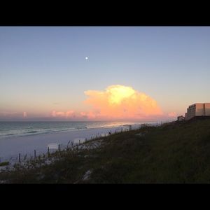 Meet your Posher, Ann